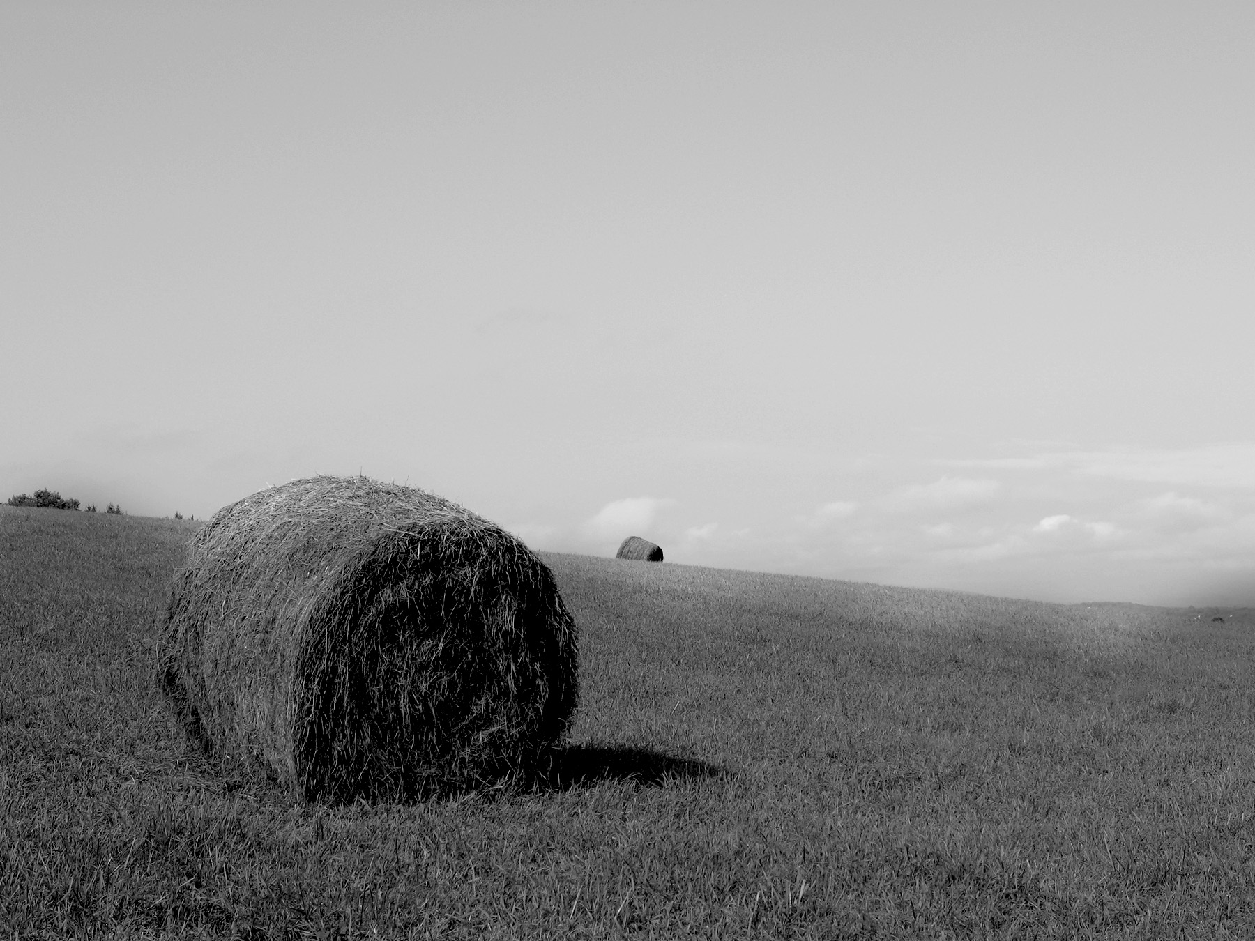 BW